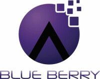 Blueberry e-services pvt. ltd.