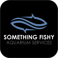 Something Fishy Aquariums & Supplies