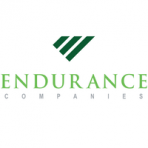 Endurance company llc