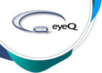 Eye-q consulting