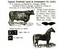 Wyoming Horse & Cattle Company