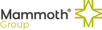 Mammoth infotech
