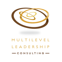 Multilevel leadership consulting