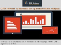 CCE Software (P) Ltd.