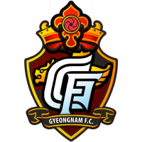 Gyeongnam football club