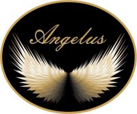 Agência funerária angelus