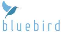 Bluebird idiomas