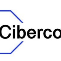 Cibercorp