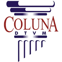 Coluna dtvm