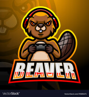 Beaver games