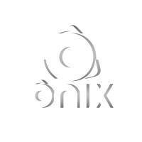 Onix serviços e manutenção