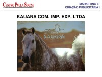 Kauana com. imp. exp ltda