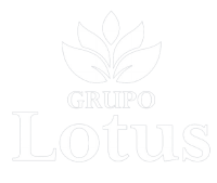 Lotus - sociedade de consultoria para investimentos