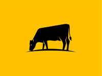 Yellow cow