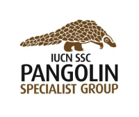 Pangolin group