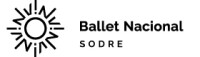 Bns | ballet nacional sodre