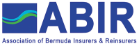 Bermuda insurance institute