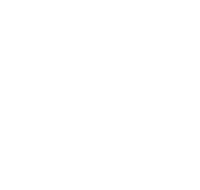 Cow pie digital