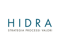 Hidra sb strategy, processes, values