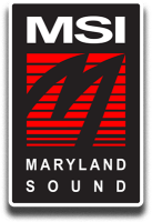 Msi audio systems