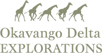Okavango delta explorations