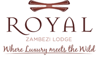 Royal zambezi lodge