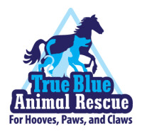 True blue animal rescue