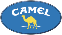 The surfing camel