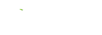 Groupe panthera