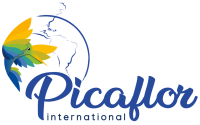Picaflor international