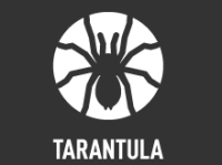 Tarantula luxembourg