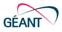 Geant - mt management & trading