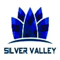 Silver valley