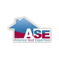 Alliance sud expertise - toulouse (31)