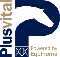 Plusvital including equinome