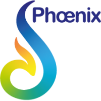 Phoenix consulting international