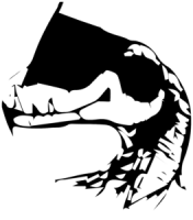 Raptor lab sarl