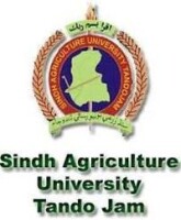 Sindh agricultural university