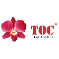 Thai orchids exporter