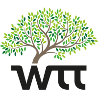 Wtt wood treatment technology