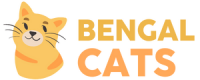 Bengal cat blog - bengalcats.co