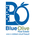 Blue olive apartments amman