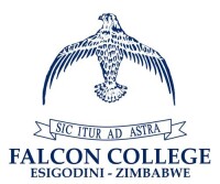 Falcon college