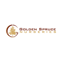 Golden spruce nurseries
