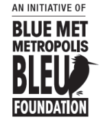 Fondation metropolis bleu