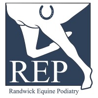 Randwick equine centre