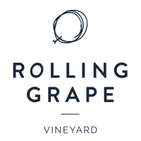 Rolling grape vineyard