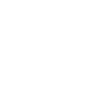 Salamon&company