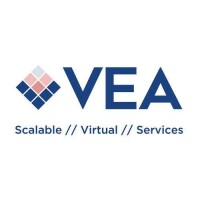 Vea virtual executive assistant services