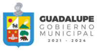 Municipio de guadalupe